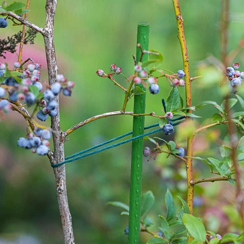 Trädgårdsstöd Bioogród – belagda stål, 0,9 m, fi 8 mm, 10 st. - 5