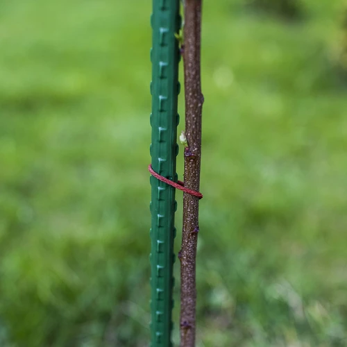 Trädgårdsstöd Bioogród – belagda stål, 1,8 m, fi 11 mm, 10 st. - 5