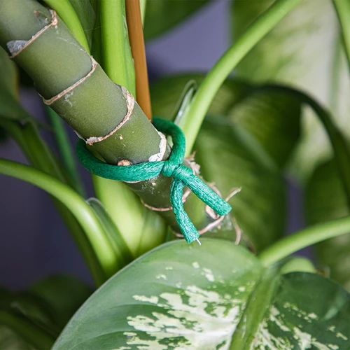 Trädgårdstråd belagd med svamp, grön, 10 m, fi 10mm - 5