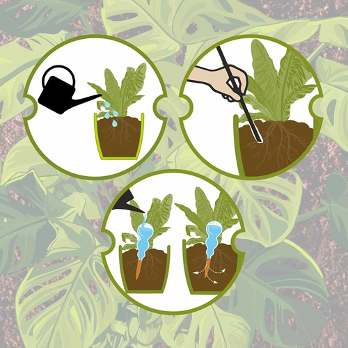 Tredubbel bevattningskula (trekammare), genomskinlig grön med keramisk fot, 600ml - 10