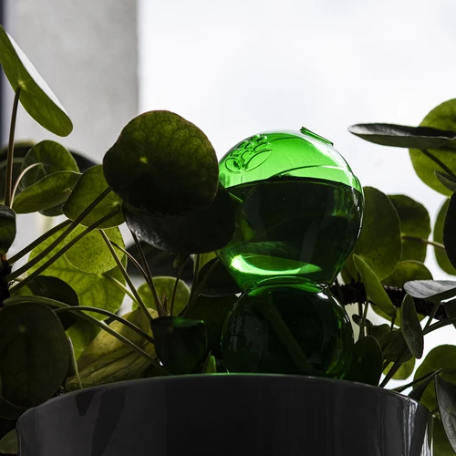 Tredubbel bevattningskula (trekammare), genomskinlig grön med keramisk fot, 600ml - 7