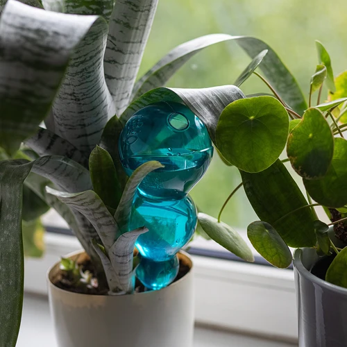 Tredubbel bevattningskula (trekammare), transparent blå, 600 ml - 6