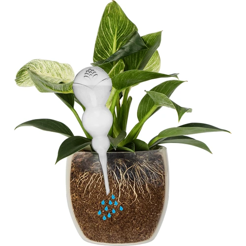 Tredubbel bevattningskula (trekammare), transparent färglös, 600 ml - 3