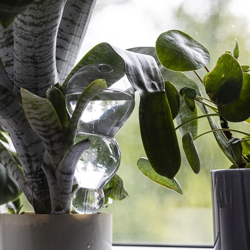 Tredubbel bevattningskula (trekammare), transparent färglös, 600 ml - 7