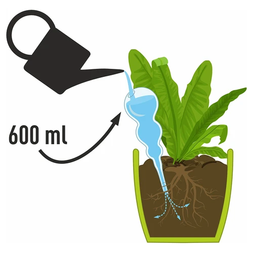 Tredubbel bevattningskula (trekammare), transparent färglös, 600 ml - 4