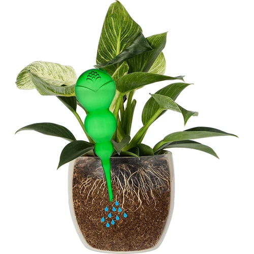 Tredubbel bevattningskula (trekammare), transparent grön, 600 ml - 3