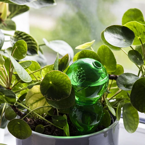 Tredubbel bevattningskula (trekammare), transparent grön, 600 ml - 7