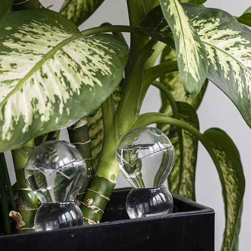 Tredubbel bevattningskula (trekammare), transparent ofärgad, med keramisk fot, 600 ml - 8