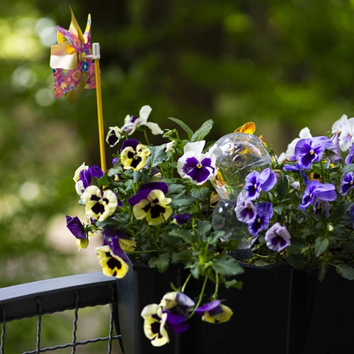 Tredubbel bevattningskula (trekammare), transparent ofärgad, med keramisk fot, 600 ml - 9