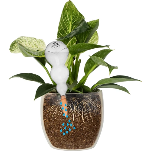 Tredubbel bevattningskula (trekammare), transparent ofärgad, med keramisk fot, 600 ml - 3