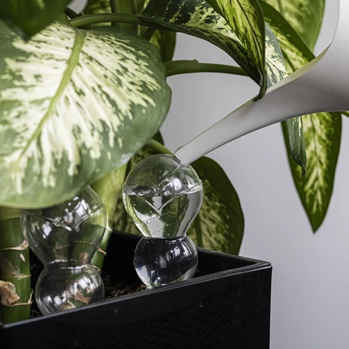 Tredubbel bevattningskula (trekammare), transparent ofärgad, med keramisk fot, 600 ml - 7