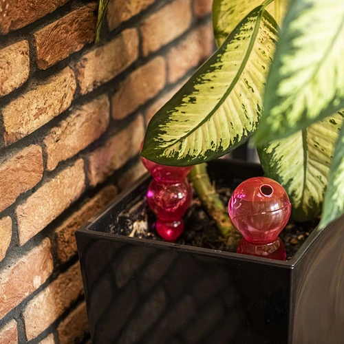 Tredubbel bevattningskula (trekammare), transparent rosa, 600 ml - 8