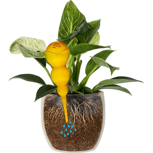 Tredubbel bevattningskula (trekammars), transparent gul, 600 ml - 3