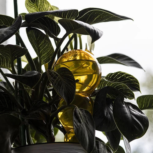 Tredubbel bevattningskula (trekammars), transparent gul, 600 ml - 7