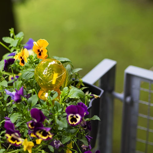 Tredubbel bevattningskula (trekammars), transparent gul, 600 ml - 8