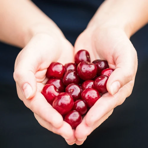 Urkärnare för körsbär och bigarråer - 11