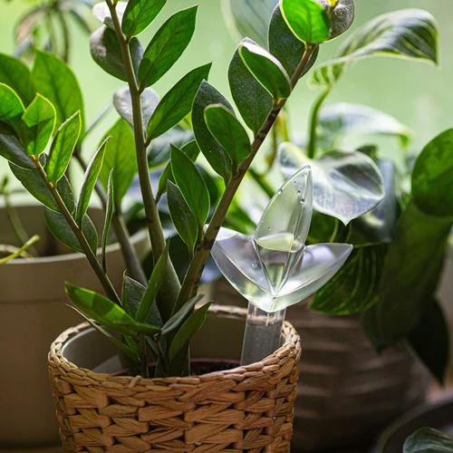 Växtbevattnare – genomskinligt blad, 120 ml - 7