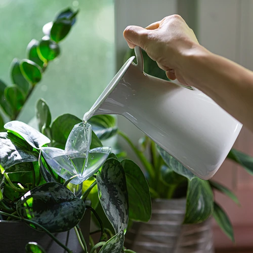 Växtbevattnare – genomskinligt blad med keramisk fot, 120 ml - 8