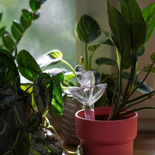 Växtbevattnare – genomskinligt blad med keramisk fot, 120 ml - 9