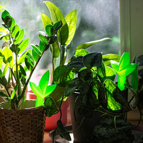 Växtbevattnare – grönt blad, 120 ml - 7