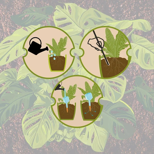 Växtbevattnare – svart tavla med keramisk fot, 200 ml - 10