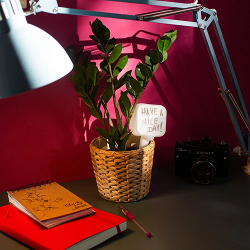 Växtbevattnare – vit tavla, 200 ml - 11