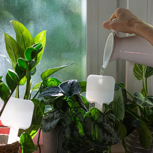 Växtbevattnare – vit tavla, 200 ml - 8