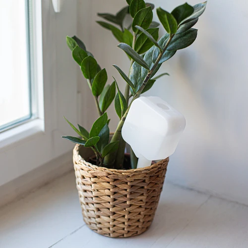 Växtbevattnare – vit tavla, 200 ml - 9