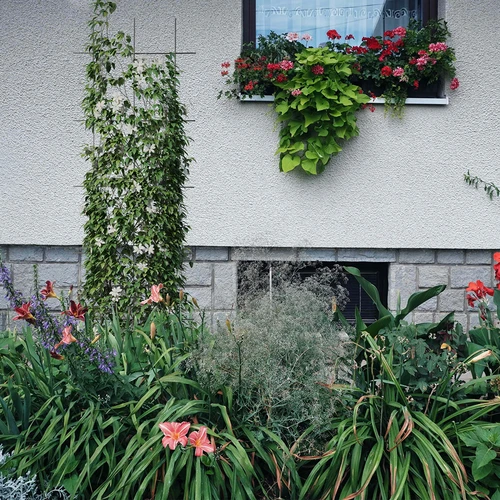 Växtstöd - galler (150cm x 45cm) 3 stycken - 4