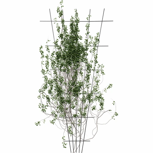 Växtstöd - galler (150cm x 75cm) 2 stycken - 3