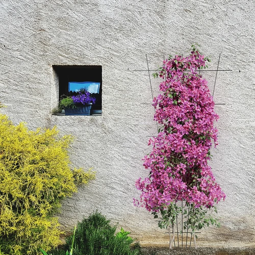 Växtstöd - galler (150cm x 75cm) 2 stycken - 4