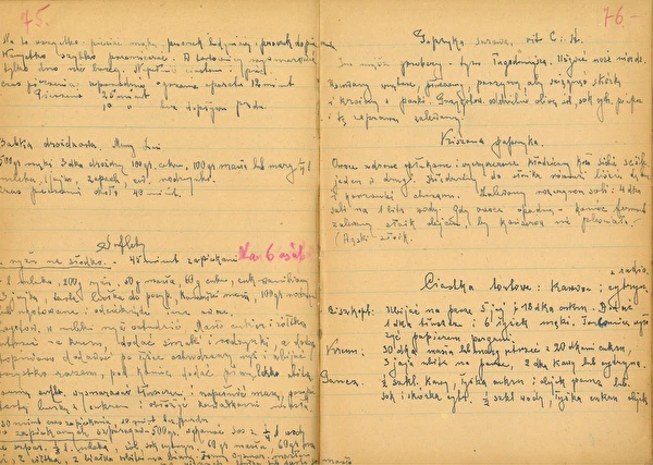 Del 2: Mjölksyrad paprika med ekblad