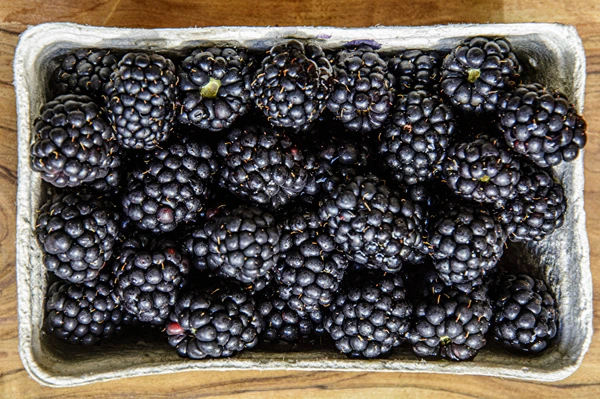 Hemgjort halvsött björnbärsvin