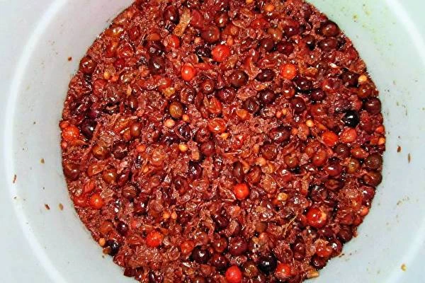 Hemgjort körsbärs- och krusbärsvin