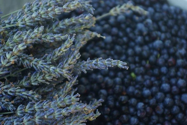 Hemmagjort lavendel- och blåbärsvin