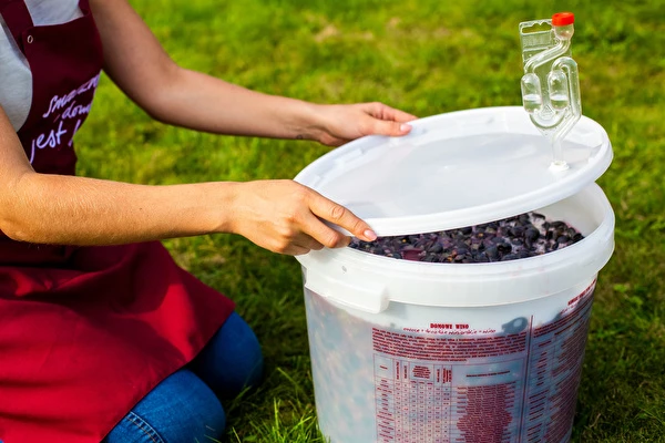 Hur gör man vin steg för steg?