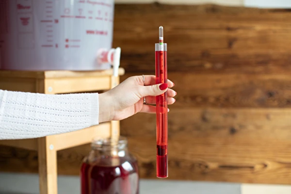 Hur gör man vin steg för steg?