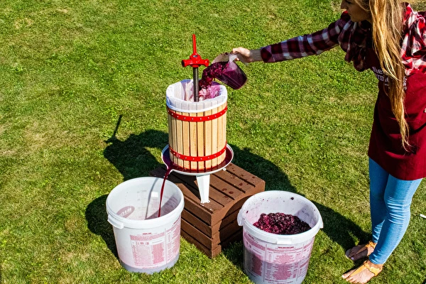 Hur gör man vin steg för steg?