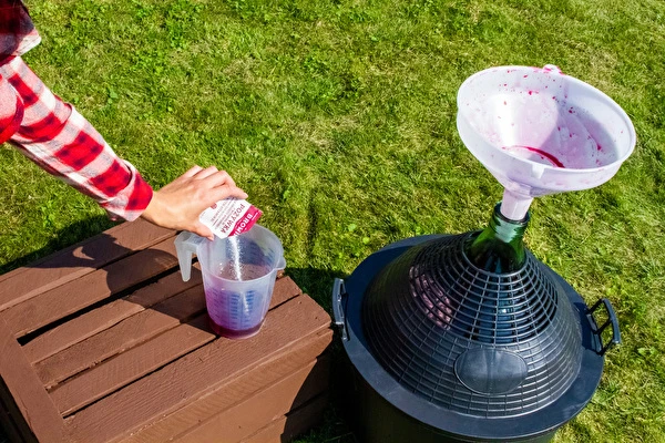 Hur gör man vin steg för steg?