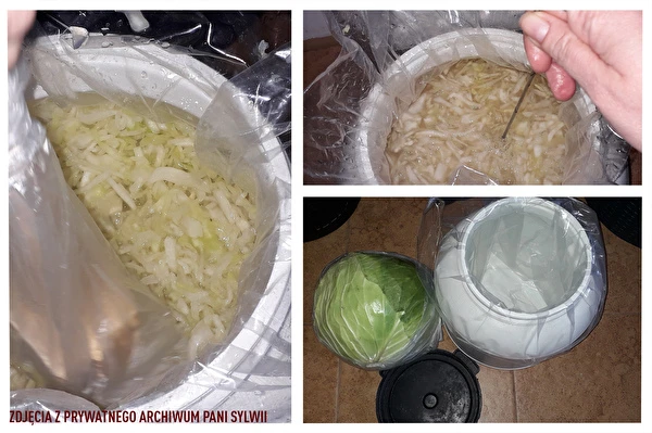 Surkål enligt fru Sylwias recept