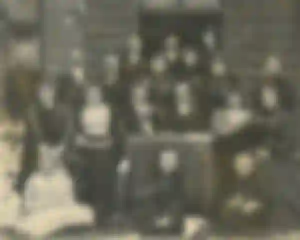 Del 2: Mjölksyrad paprika med ekblad