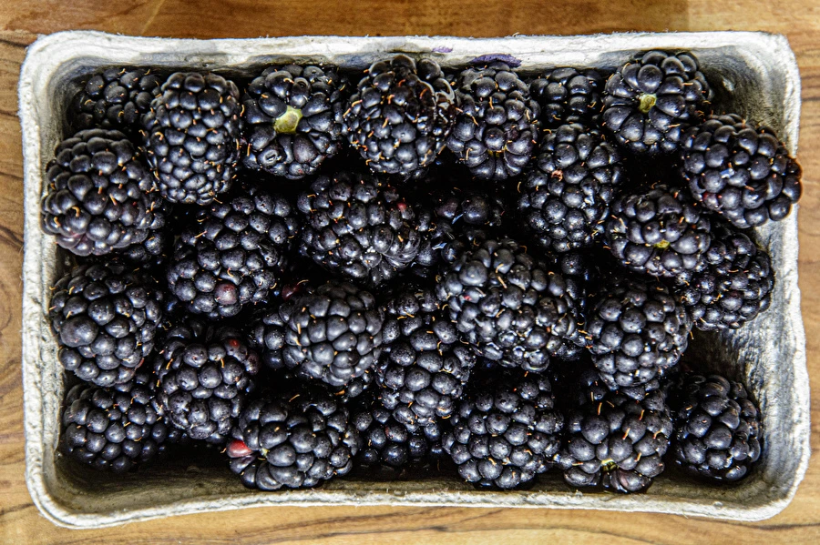 Browin Przepiśnik - Hemgjort halvsött björnbärsvin