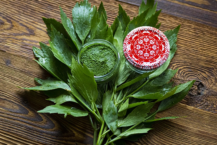 Pasta av libbsticka — hemgjord MAGGI-krydda