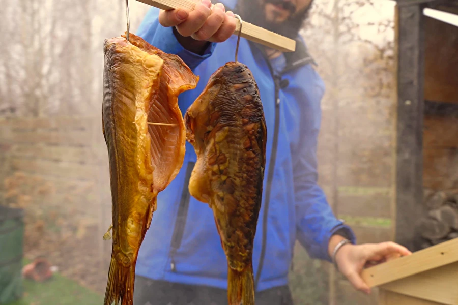 Browin Przepiśnik - Rökt karp